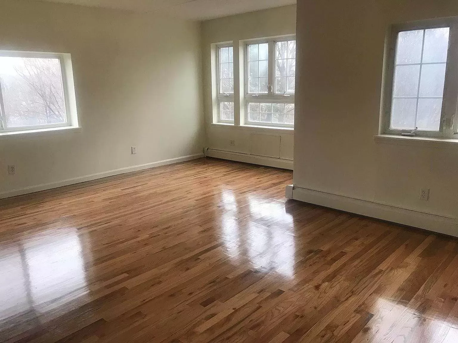 Apartment for Rent in Bronx Concourse New York