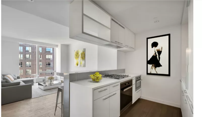 Apartment for Rent in Manhattan Lower East Side, NY